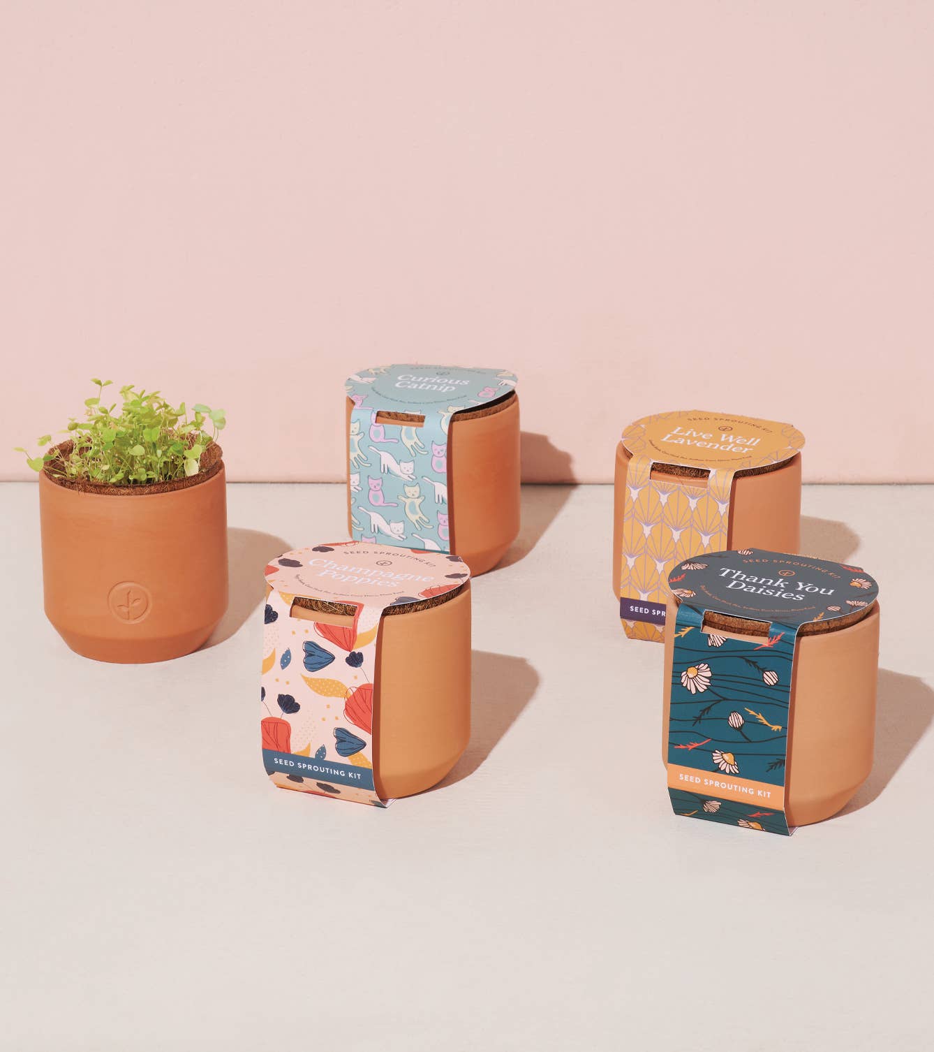 Modern Sprout tiny grow kits