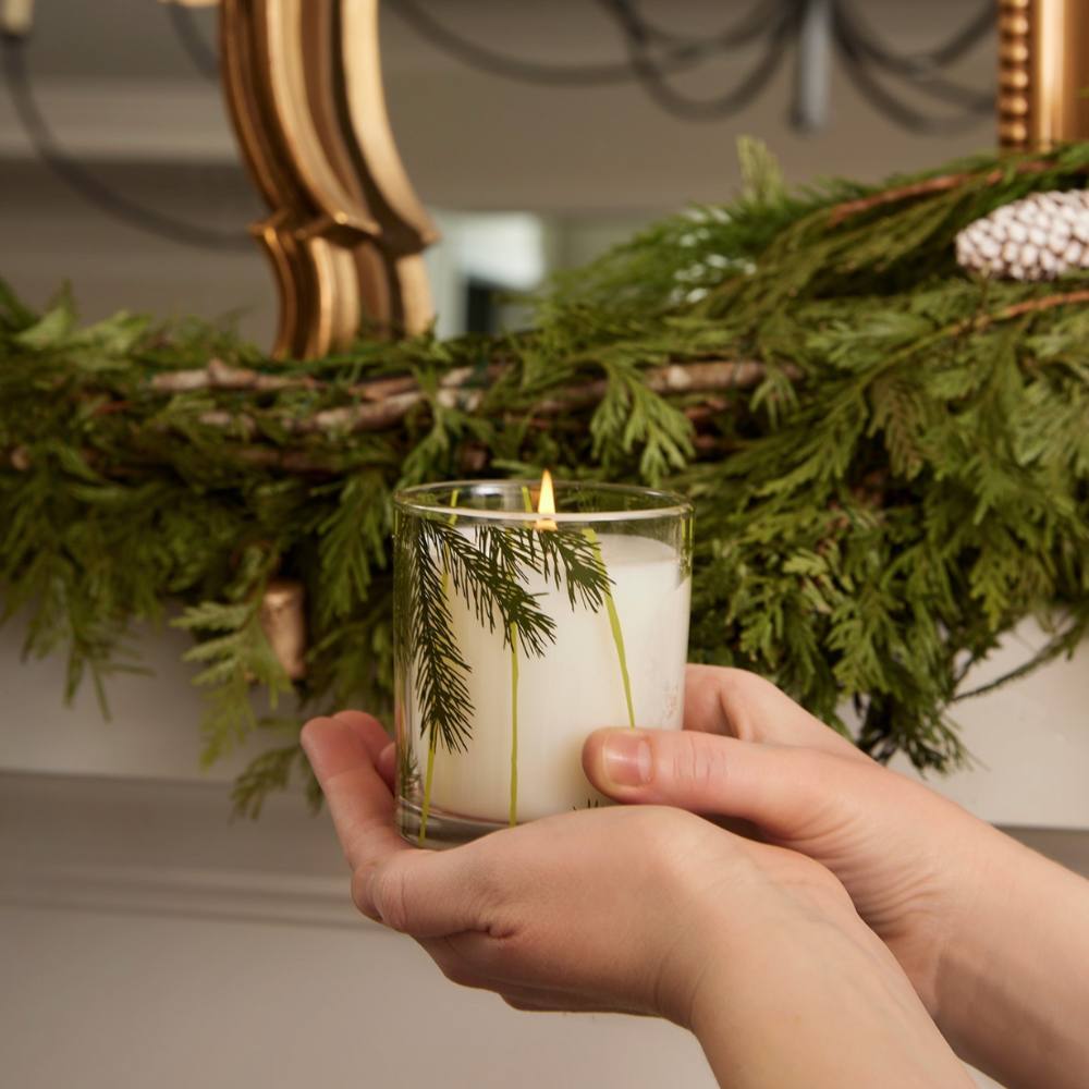 Frasier Fir by Thymes Poured Pine Needle Candle