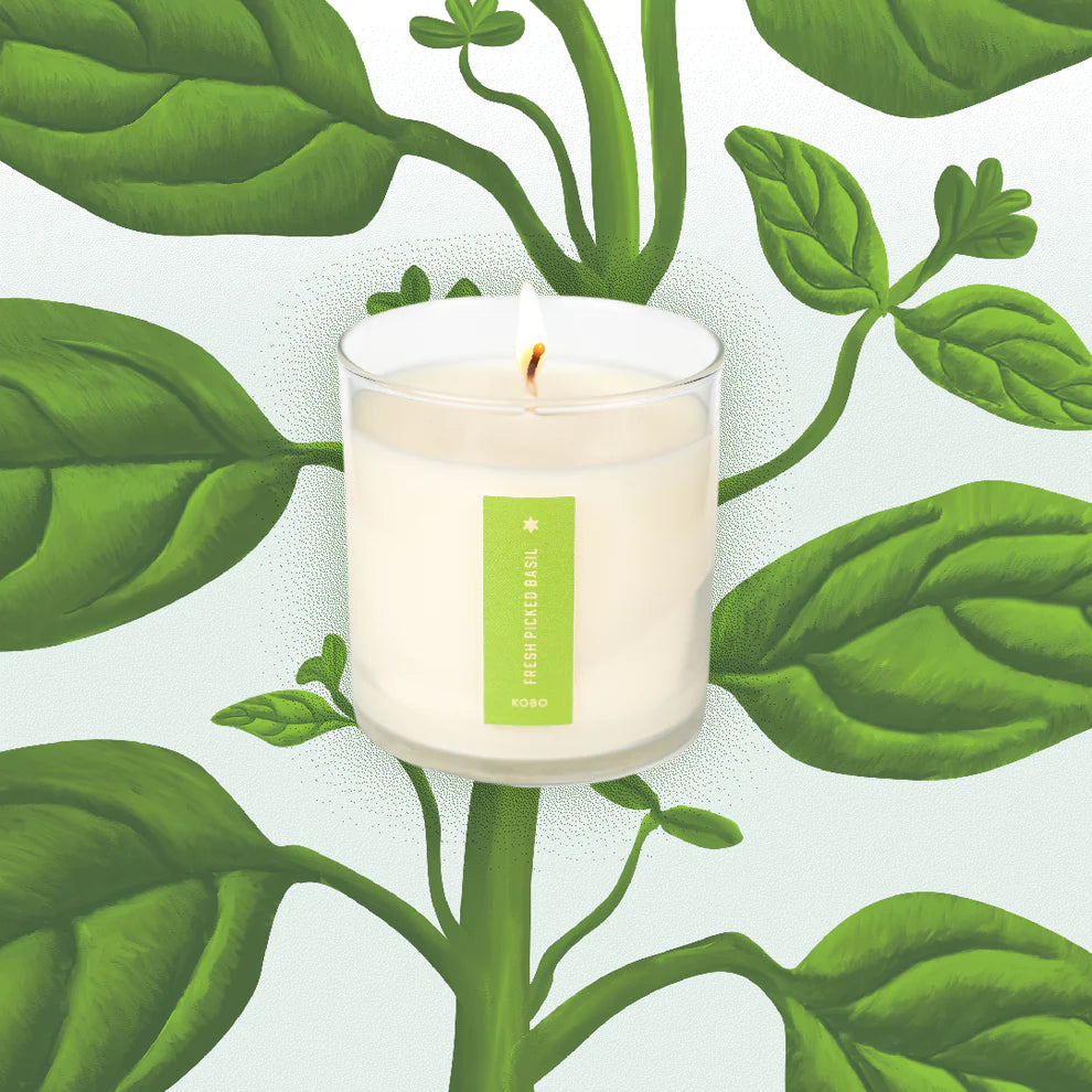Fresh Picked Basil Plant The Box Candle