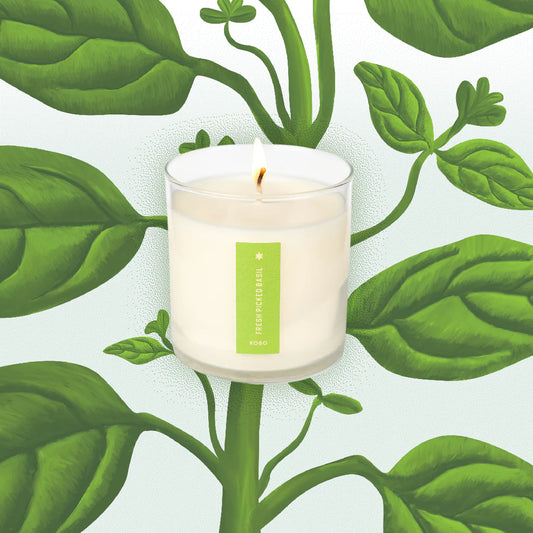 Fresh Picked Basil Plant The Box Candle