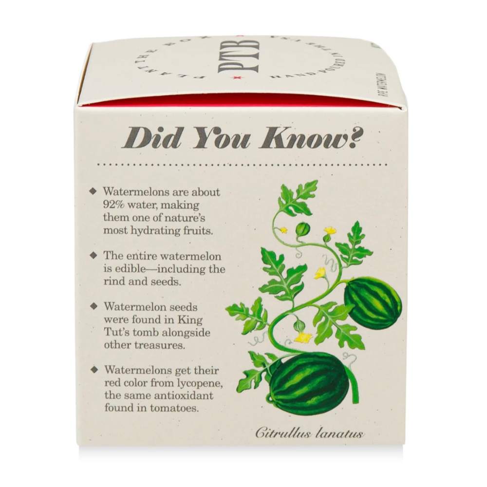 Ripe Watermelon Plant The Box Candle