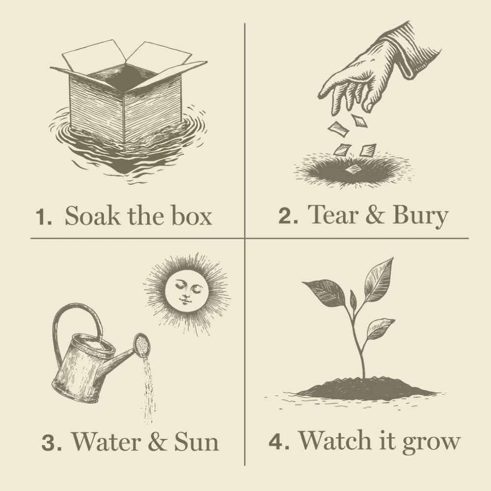 Heath Lavender Plant The Box Candle