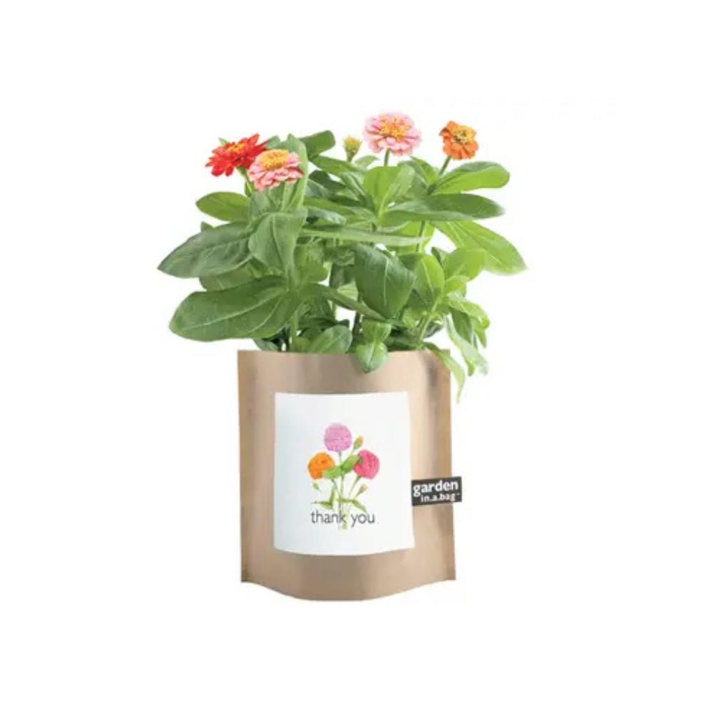 thank-you-garden-in-a-bag-2