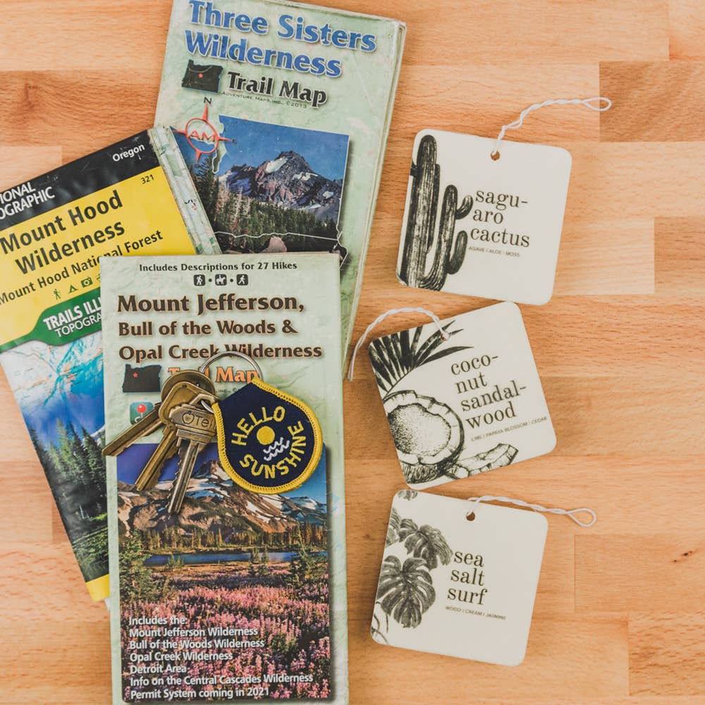 Saguro Cactus Car Freshener by Broken Top Brands