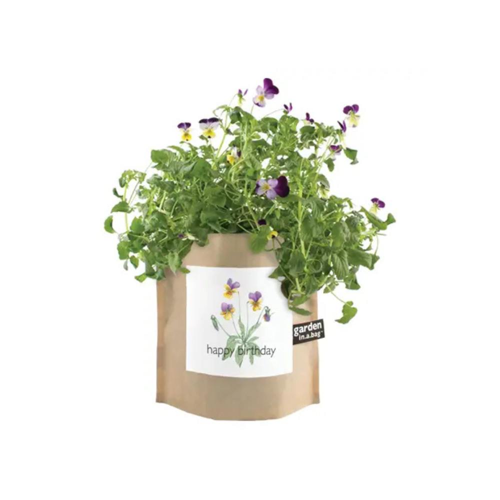 happy-birthday-garden-in-a-bag