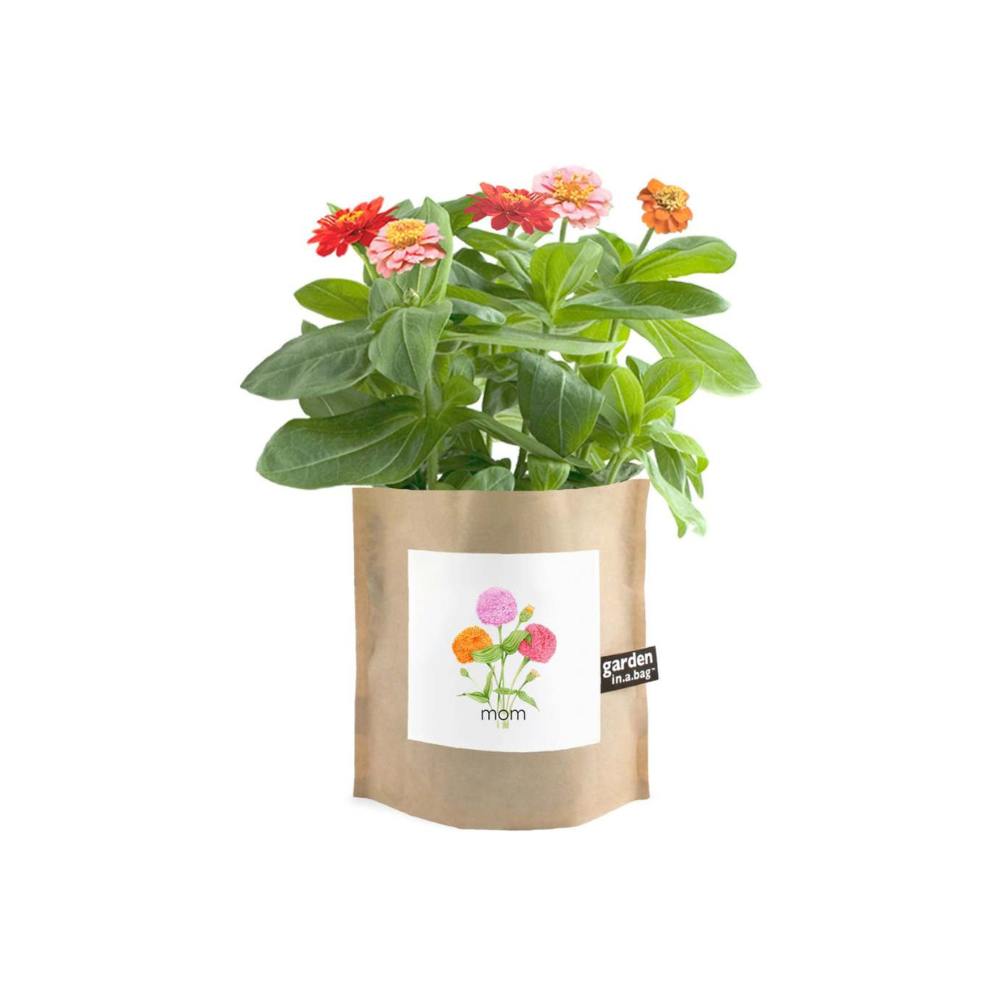Mother's Day Garden in a Bag