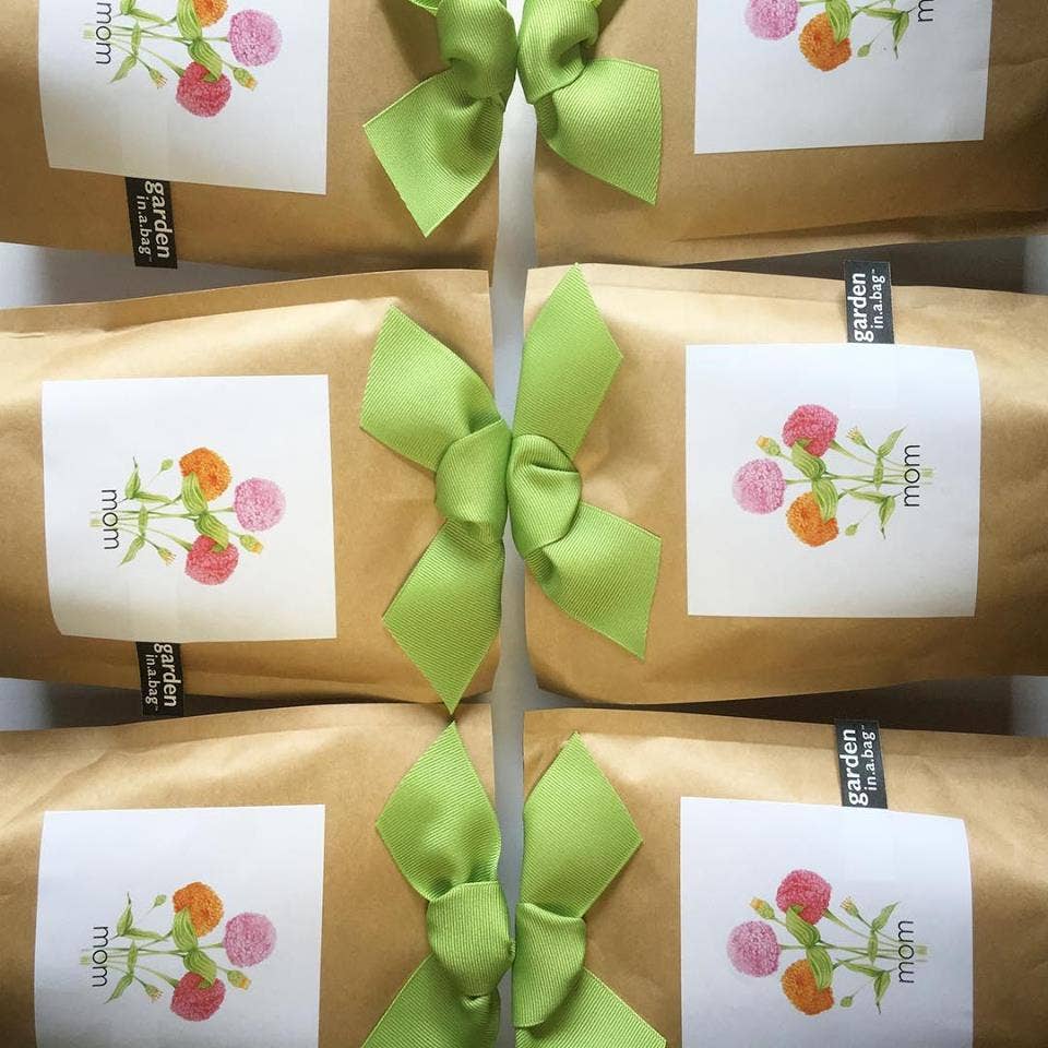 Mother's Day Garden in a Bag