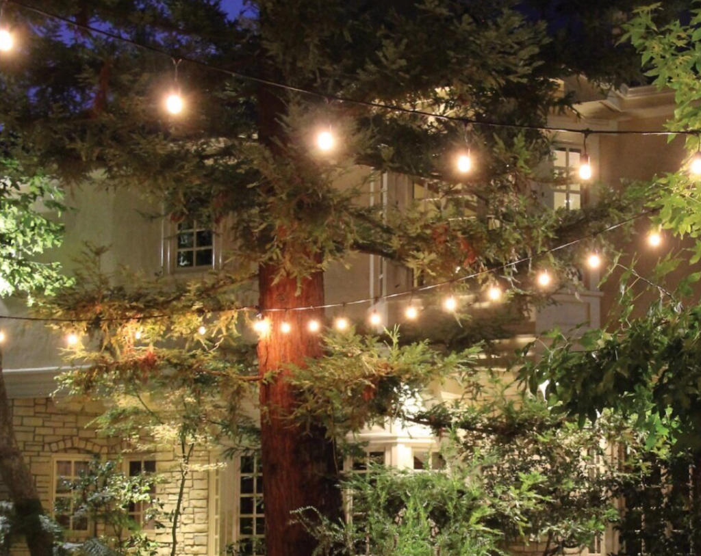 Does your Backyard need a Facelift?  Start with the Lighting!