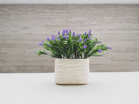 Blue spring flowers in white planter