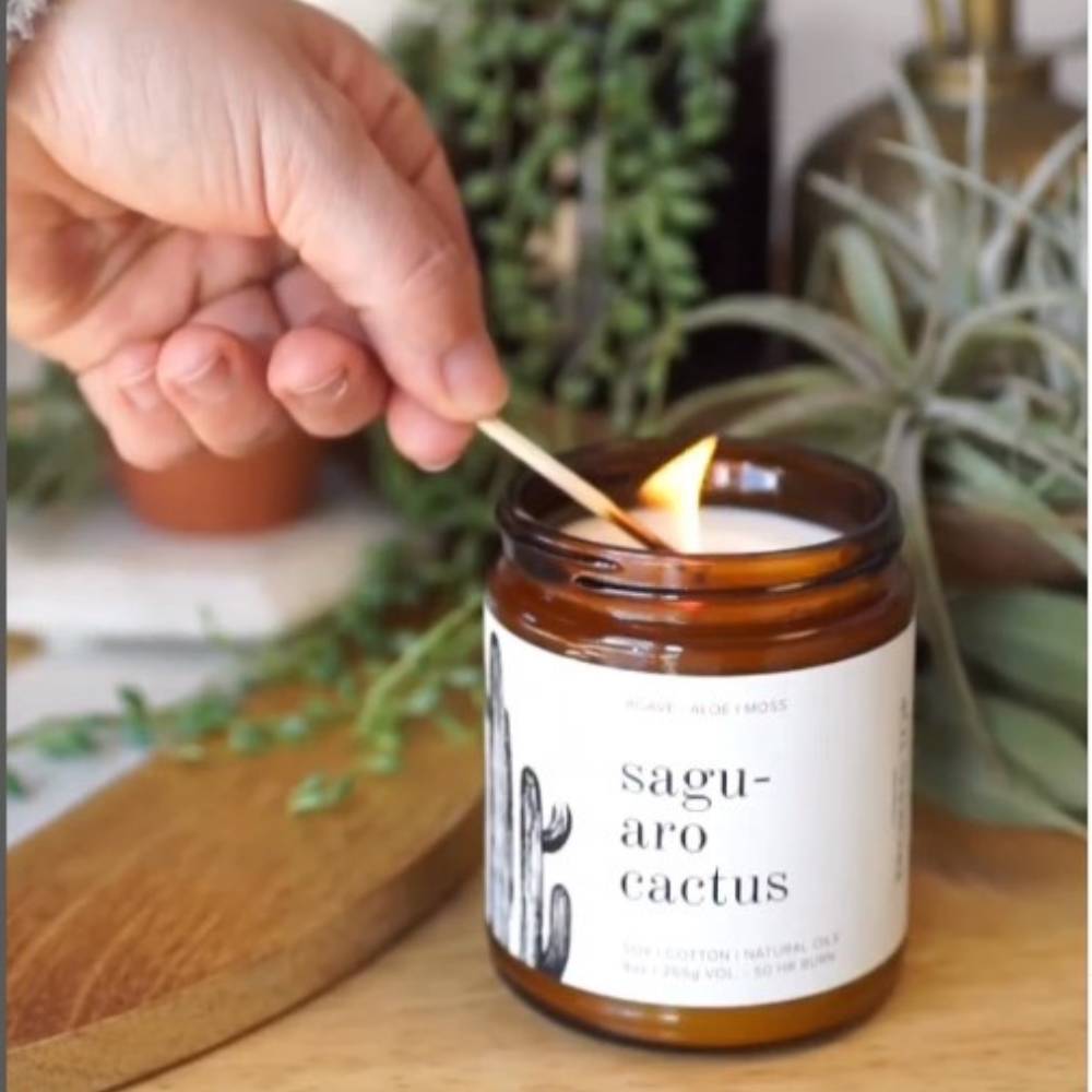 Saguaro Cactus Soy Candle 9 oz.- Broken Top Brands