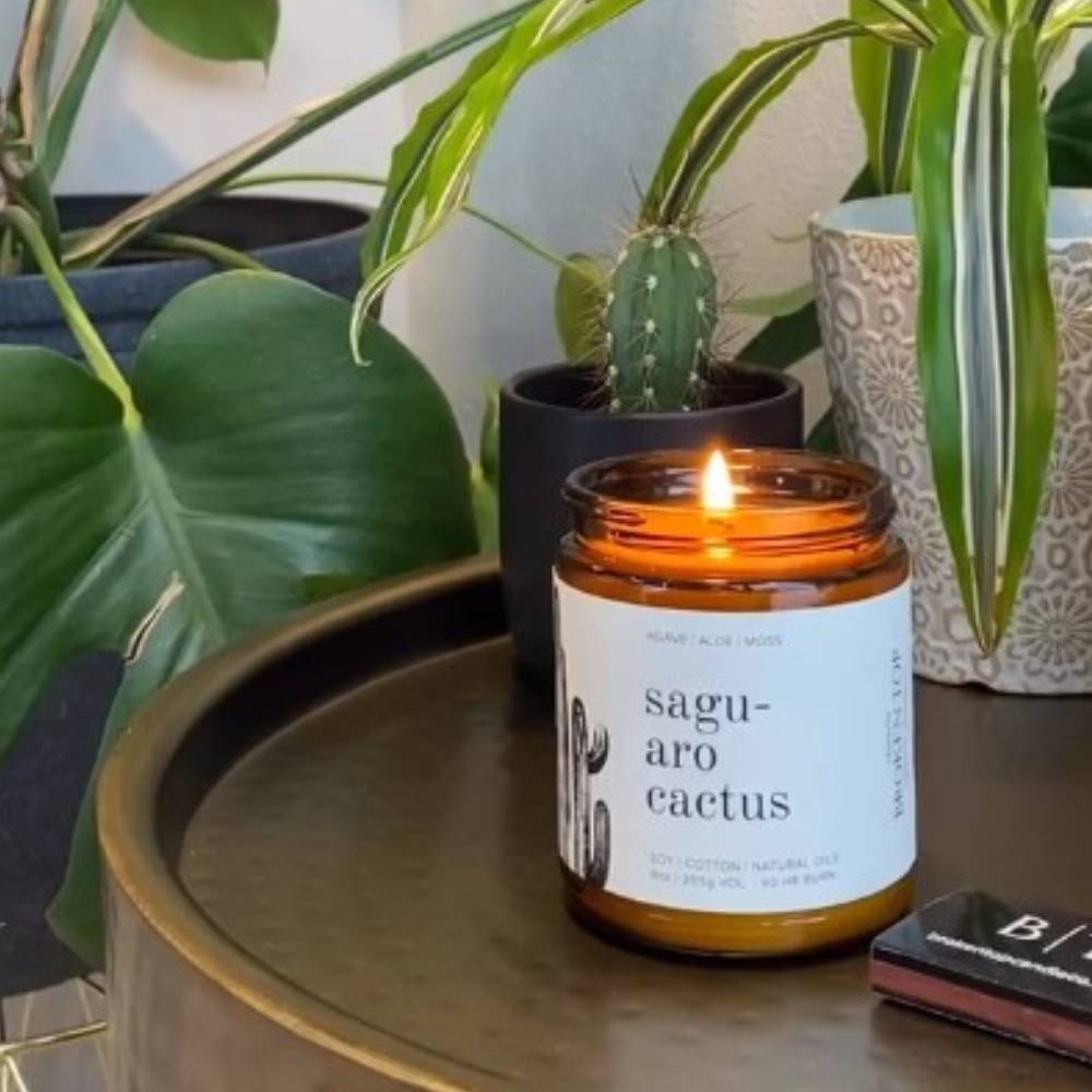 Saguaro Cactus Soy Candle 9 oz.- Broken Top Brands