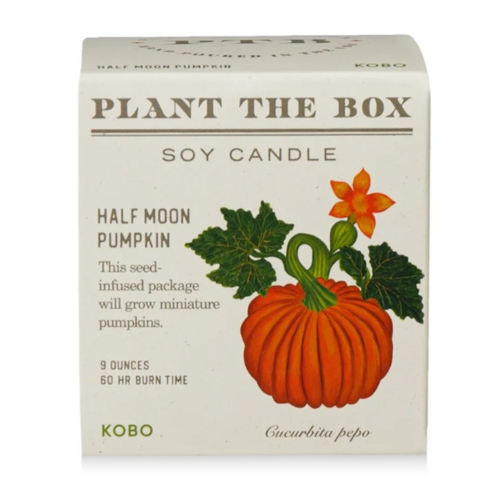 KOBO Half Moon Pumpkin Plant The Box candle in its seed-infused botanical box