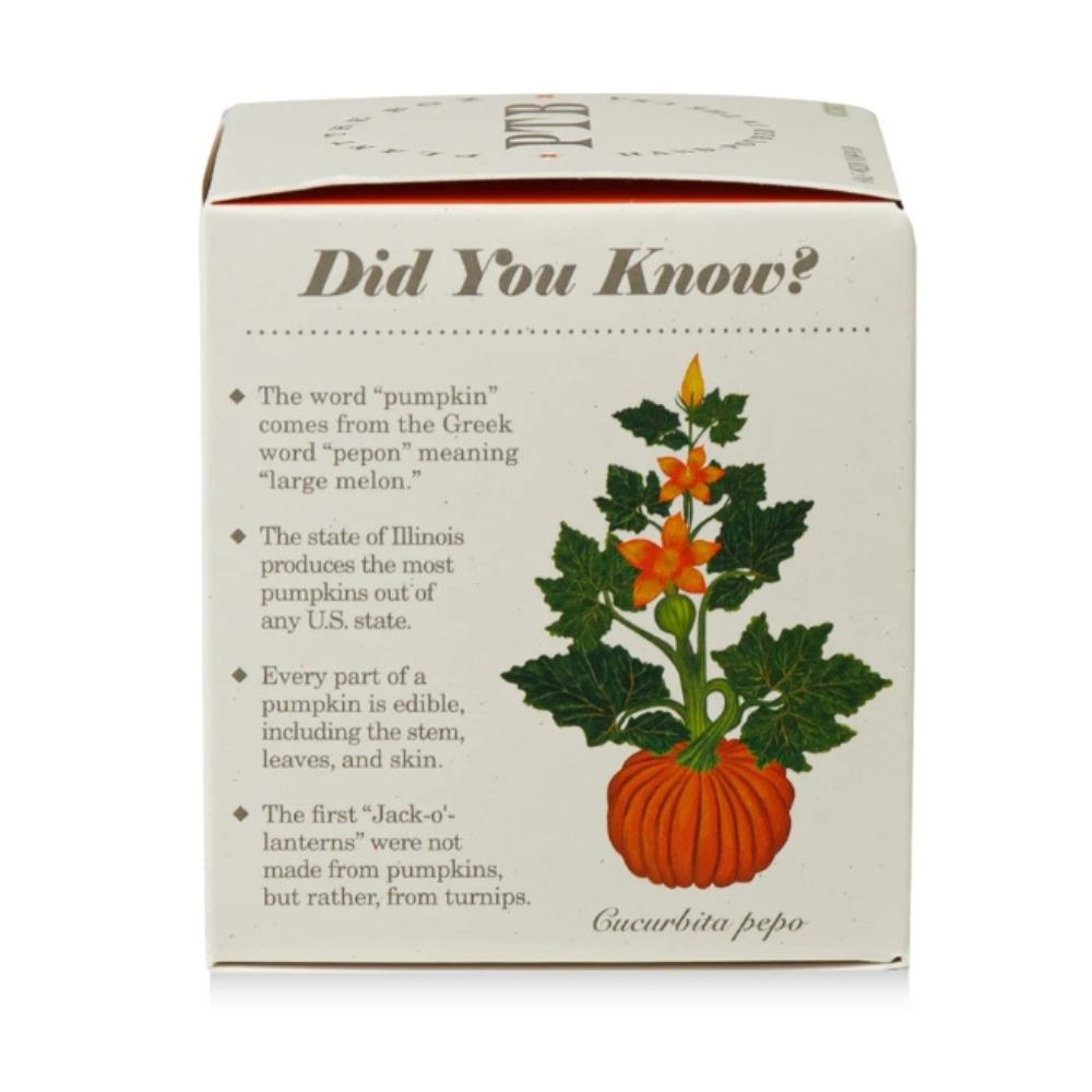 KOBO Half Moon Pumpkin seed-infused candle box, side panel view