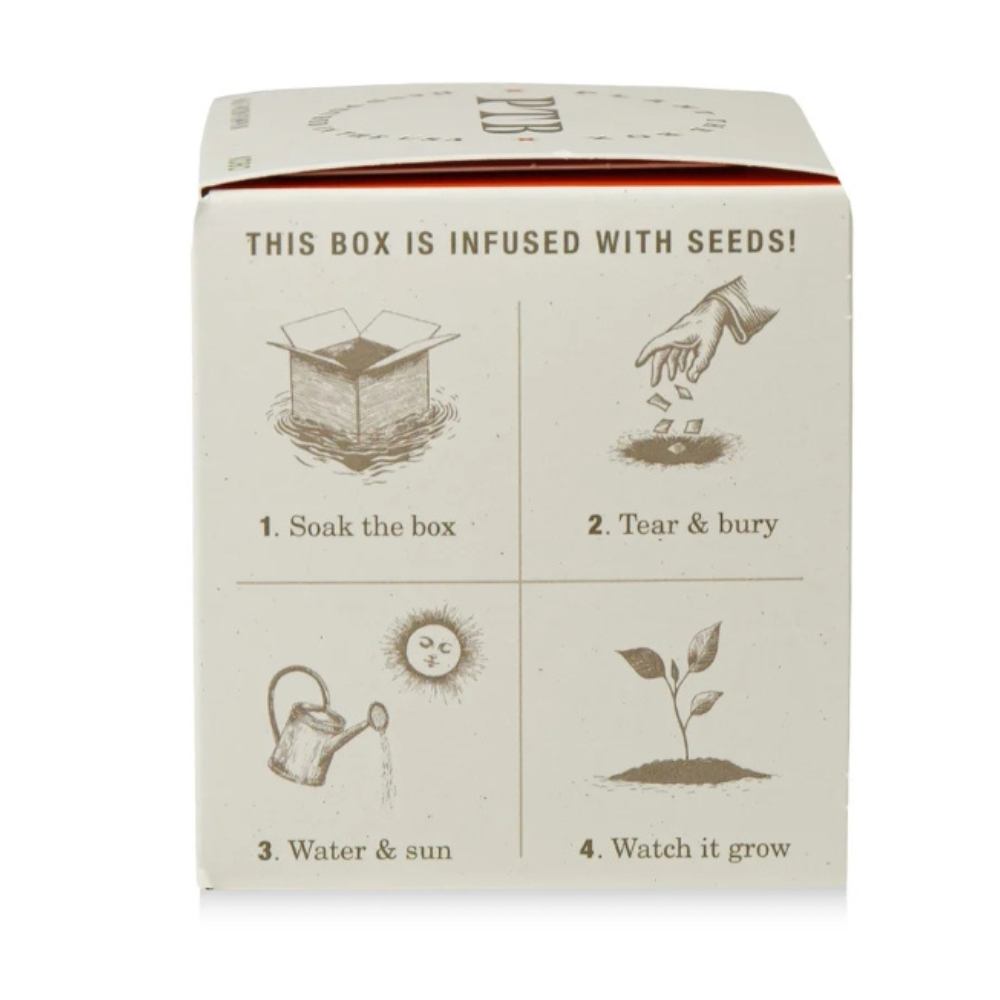 KOBO Half Moon Pumpkin candle box back panel with planting instructions