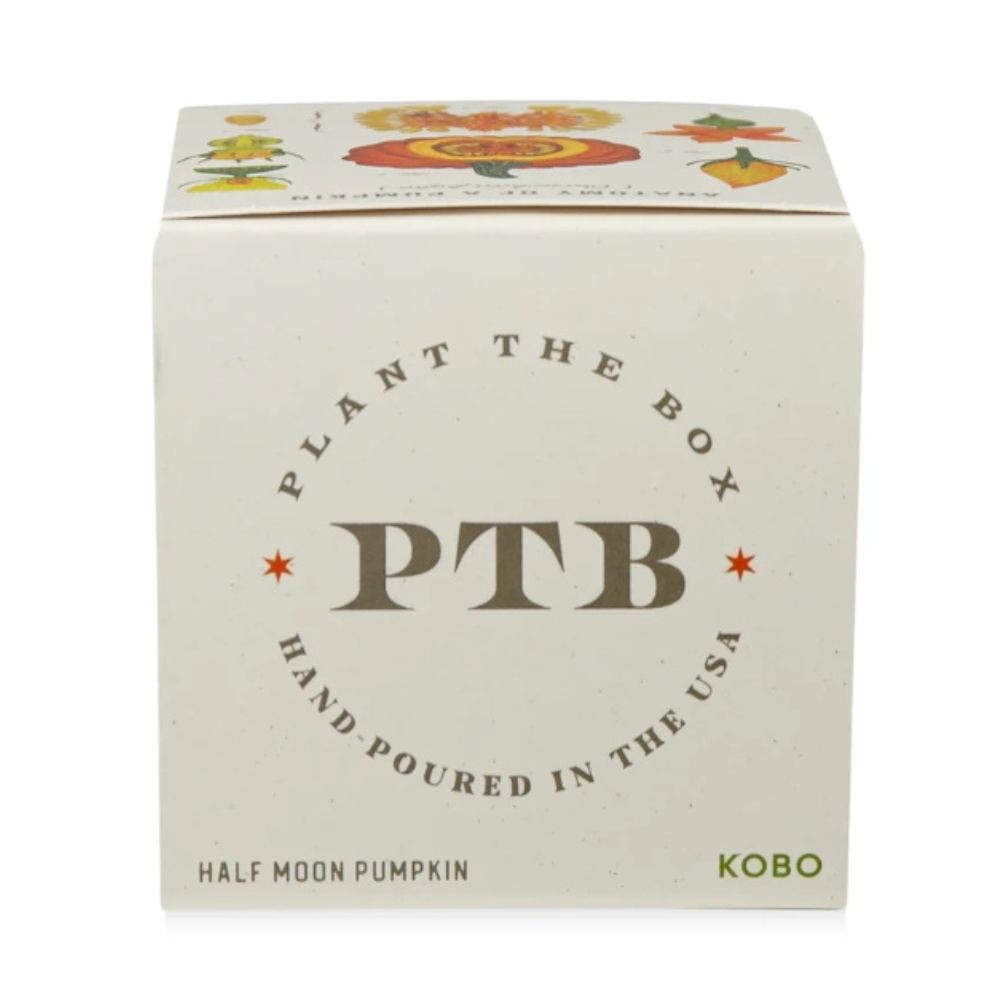 KOBO Half Moon Pumpkin plantable candle box, top view