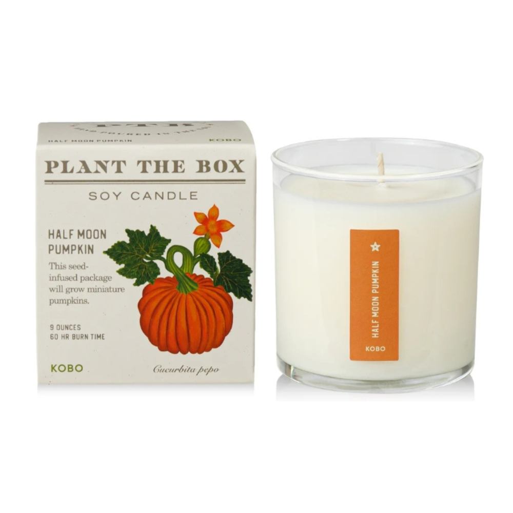 KOBO Half Moon Pumpkin 9 oz soy candle beside its plantable gift box