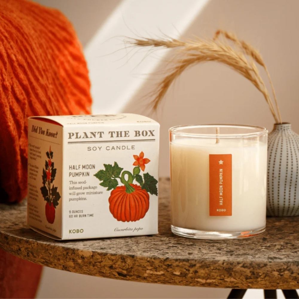 KOBO Half Moon Pumpkin candle and plantable box styled in a fall setting