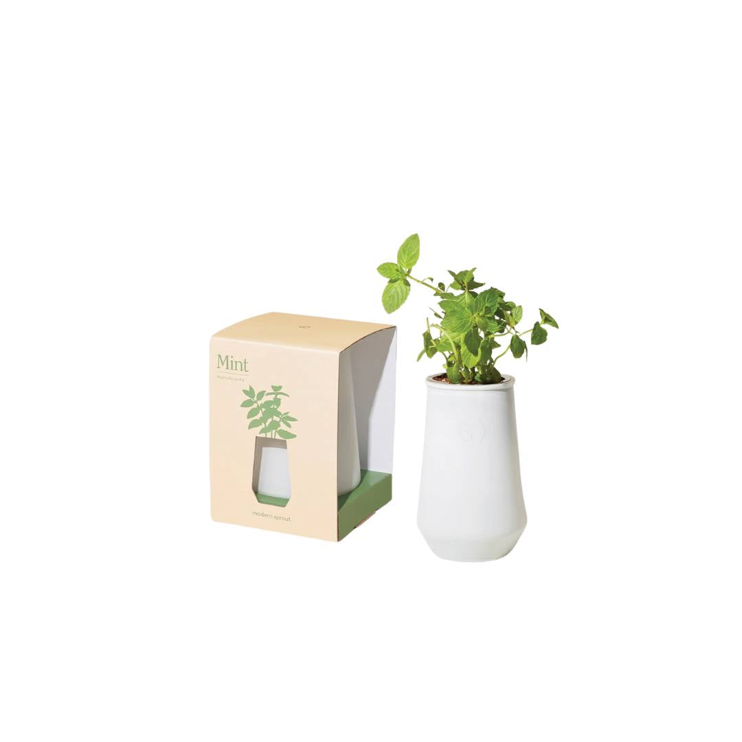 Tapered Tumbler Grow Kit