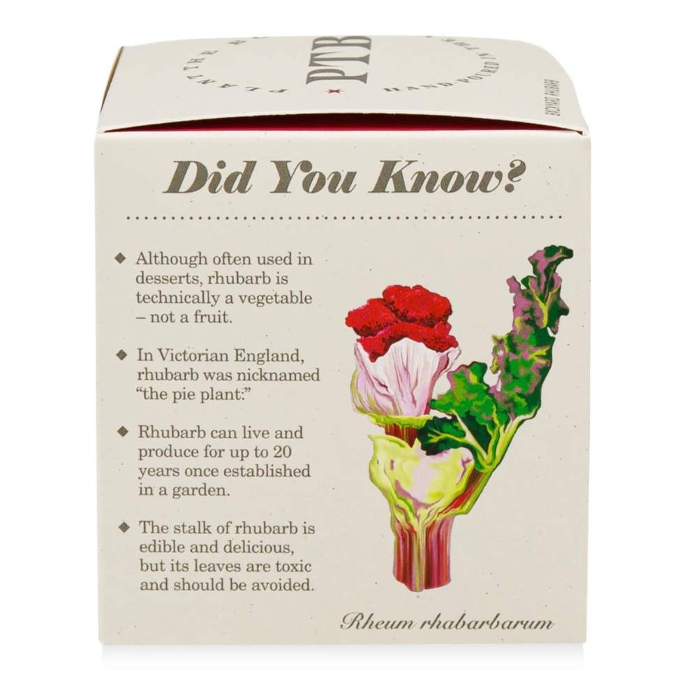 Backyard Rhubarb Plant The Box Candle