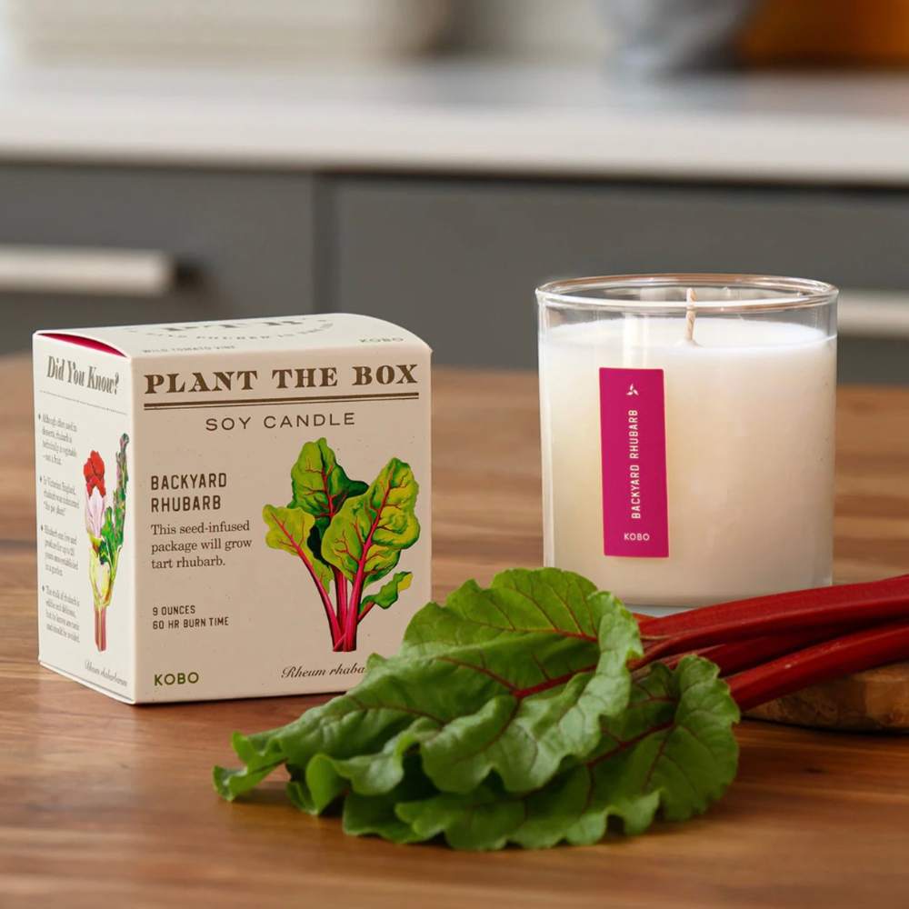 Plant the box candle and box photo on countertop with rhubarb 