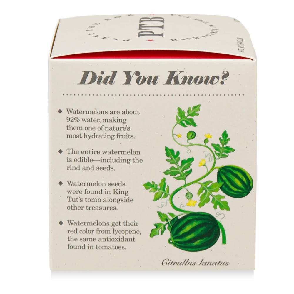 Ripe Watermelon Plant The Box Candle