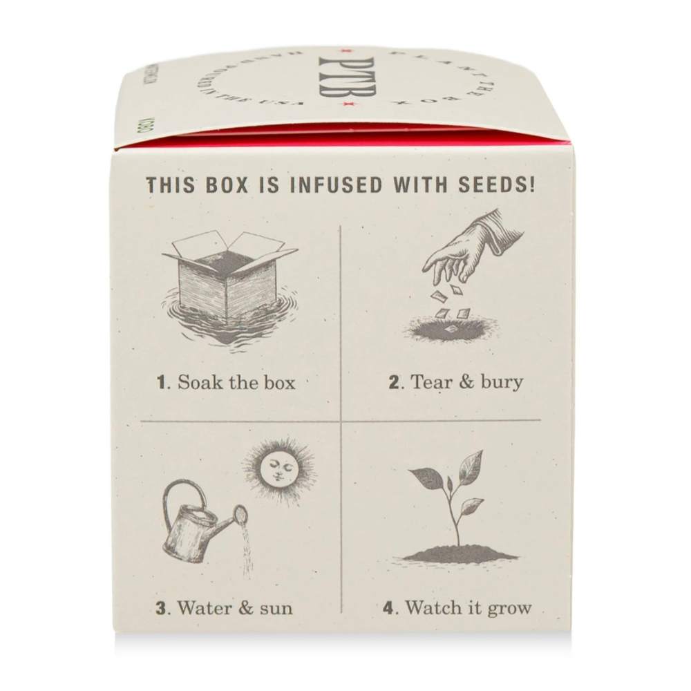 Ripe Watermelon Plant The Box Candle