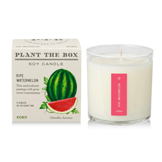 Plant the box Ripe Watermelon box and candle on white studio background