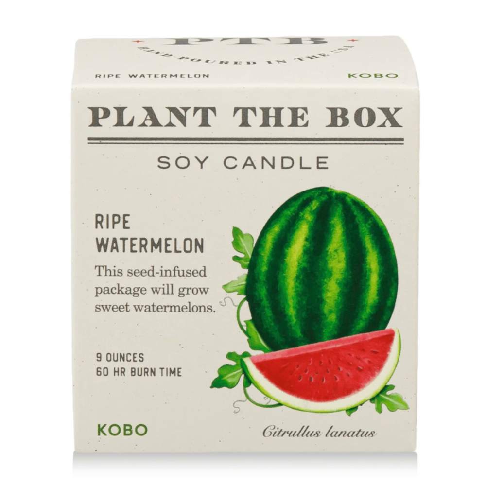 Ripe Watermelon Plant The Box Candle