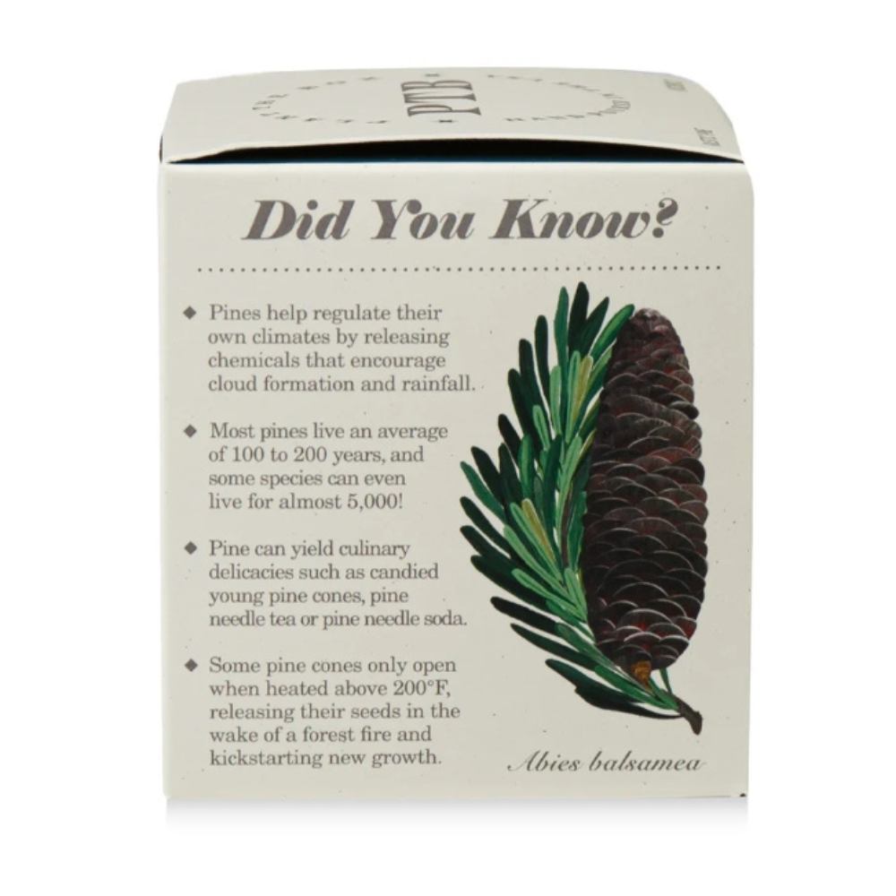 KOBO Rustic Pine plantable candle box, pine illustration detail