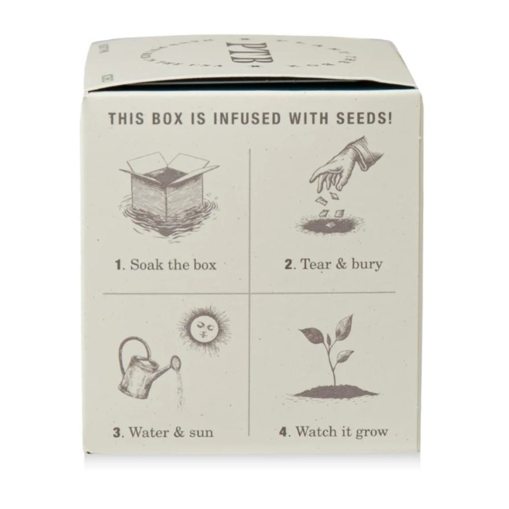KOBO Rustic Pine candle box back panel with planting instructions