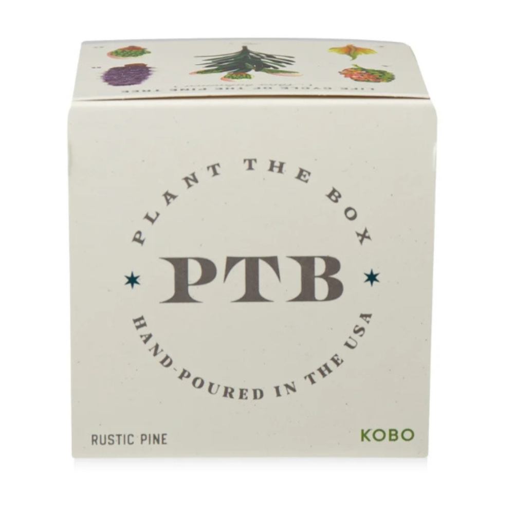 KOBO Rustic Pine plantable candle box, top view