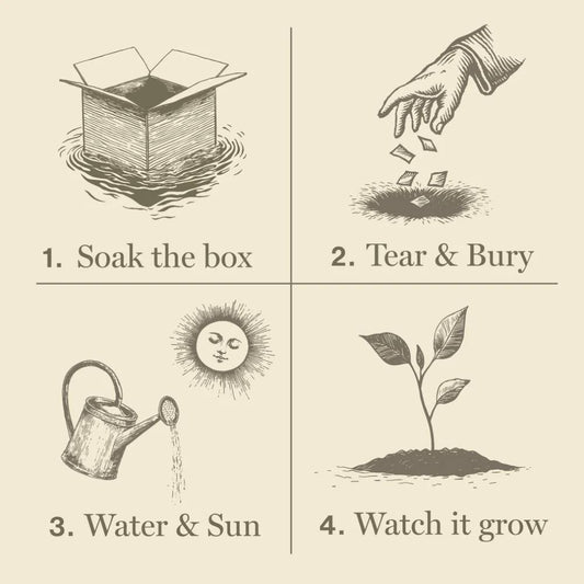 KOBO Plant the Box seed-infused packaging that sprouts sunflowers and wildflowers