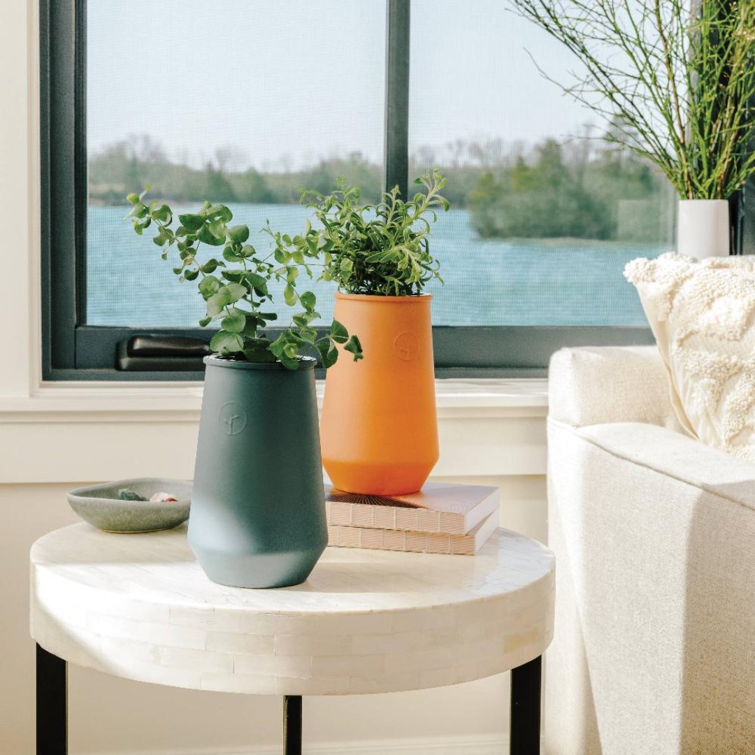 Modern Sprout Tapered Vase grow kit