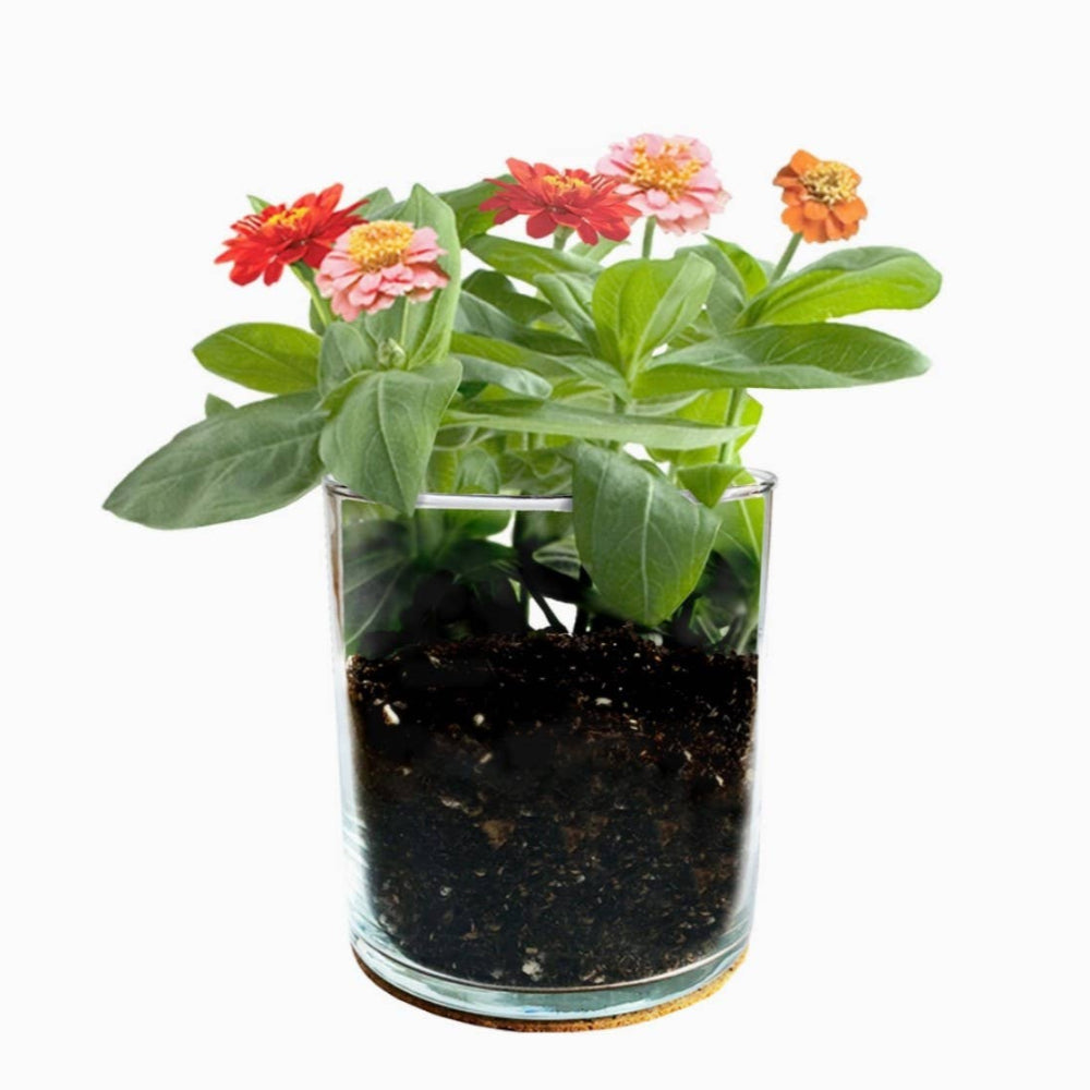 Happy Birthday Flower Garden Planter