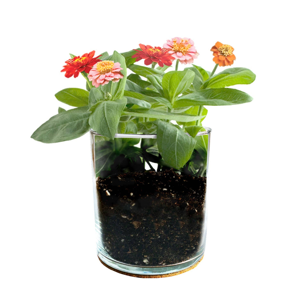 Mom Flower Garden Planter