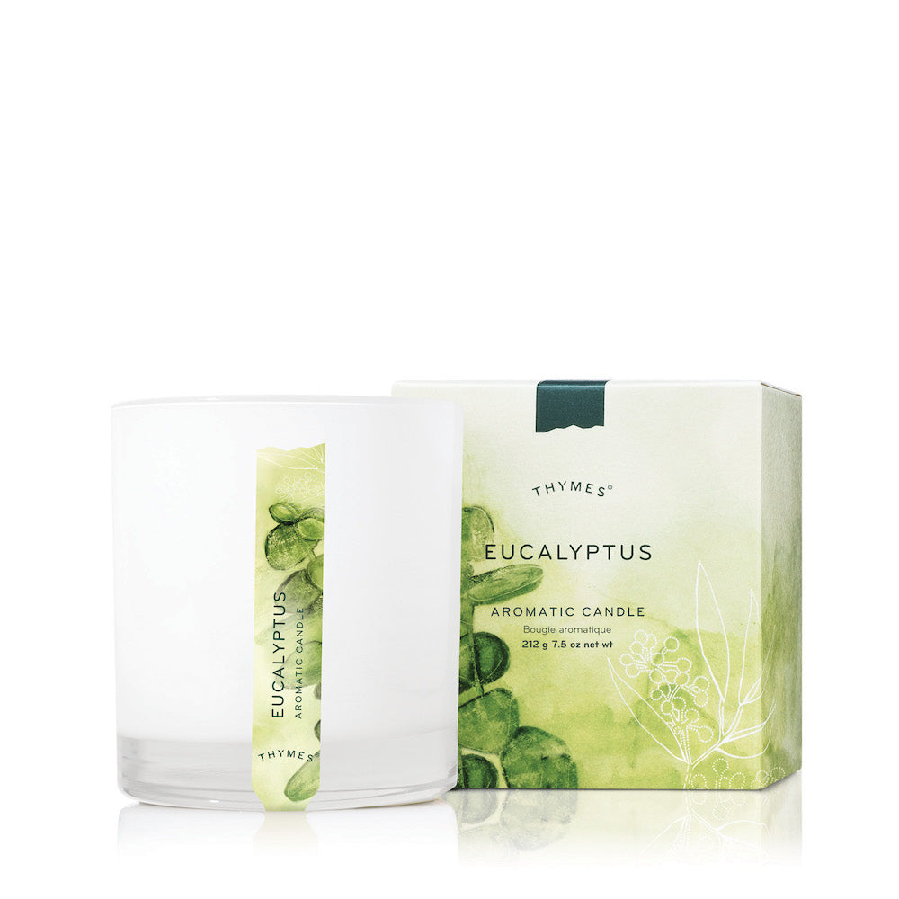 Thymes Eucalyptus Poured Candle