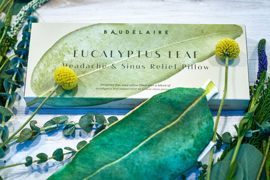 Baudelaire Eucalyptus Leaf Headache & Sinus Relief Pillow